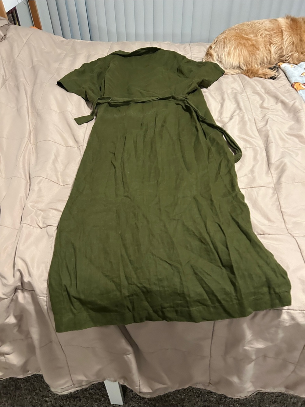 Quince Olive Green Button-Down Midi Dress - Picture 3 of 3